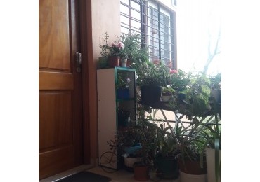 DEPARTAMENTO EN VENTA CAMILO ACOSTA PILAR